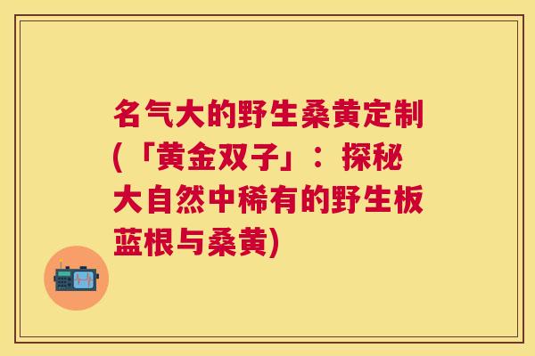 名气大的野生桑黄定制(「黄金双子」:探秘大自然中稀有的野生板蓝根与桑黄) 名气大的野生桑黄定制(「黄金双子」:探秘大自然中稀有的野生板蓝根与桑黄)