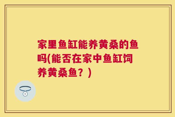 家里鱼缸能养黄桑的鱼吗(能否在家中鱼缸饲养黄桑鱼?) 家里鱼缸能养黄桑的鱼吗(能否在家中鱼缸饲养黄桑鱼?)