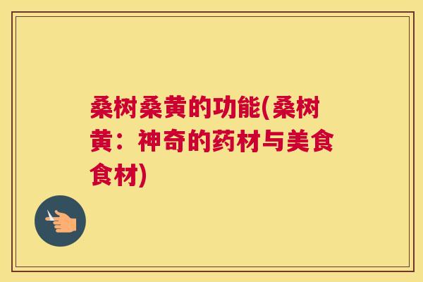 桑树桑黄的功能(桑树黄:神奇的药材与美食食材) 桑树桑黄的功能(桑树黄:神奇的药材与美食食材)