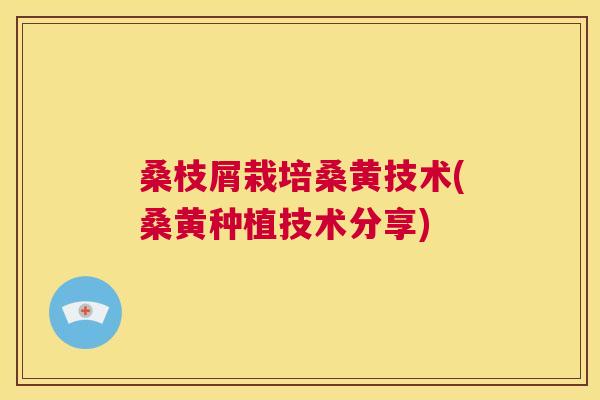 桑枝屑栽培桑黄技术(桑黄种植技术分享) 桑枝屑栽培桑黄技术(桑黄种植技术分享)