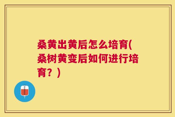桑黄出黄后怎么培育(桑树黄变后如何进行培育?) 桑黄出黄后怎么培育(桑树黄变后如何进行培育?)