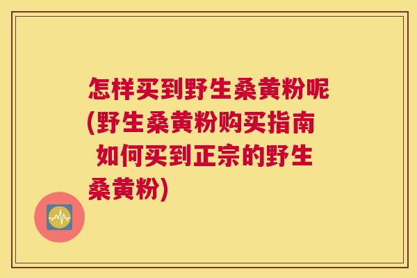 怎样买到野生桑黄粉呢(野生桑黄粉购买指南 如何买到正宗的野生桑黄粉) 怎样买到野生桑黄粉呢(野生桑黄粉购买指南 如何买到正宗的野生桑黄粉)