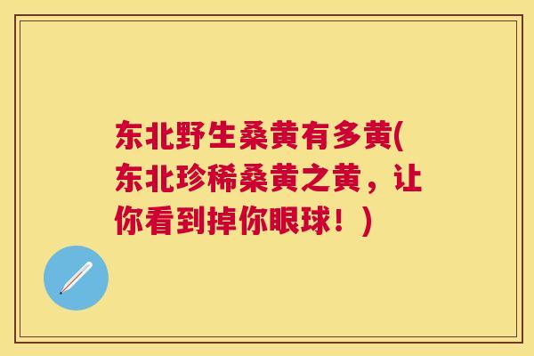 东北野生桑黄有多黄(东北珍稀桑黄之黄,让你看到掉你眼球!) 东北野生桑黄有多黄(东北珍稀桑黄之黄,让你看到掉你眼球!)
