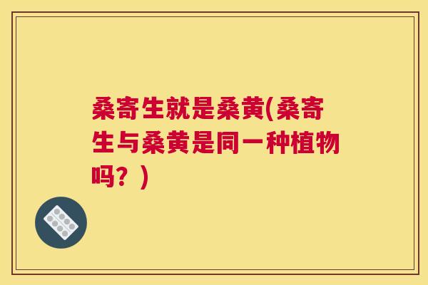 桑寄生就是桑黄(桑寄生与桑黄是同一种植物吗?) 桑寄生就是桑黄(桑寄生与桑黄是同一种植物吗?)