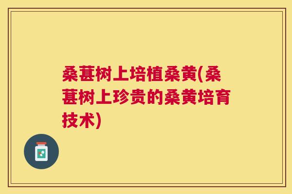 桑葚树上培植桑黄(桑葚树上珍贵的桑黄培育技术) 桑葚树上培植桑黄(桑葚树上珍贵的桑黄培育技术)