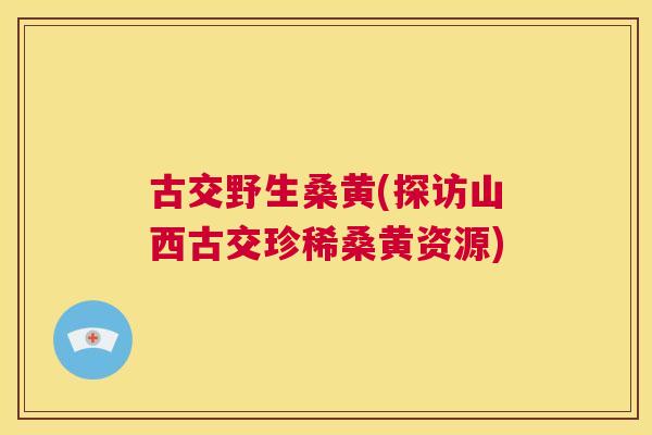 古交野生桑黄(探访山西古交珍稀桑黄资源) 古交野生桑黄(探访山西古交珍稀桑黄资源)
