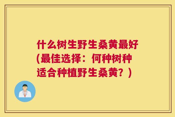 什么树生野生桑黄好(佳选择:何种树种适合种植野生桑黄?) 什么树生野生桑黄好(佳选择:何种树种适合种植野生桑黄?)