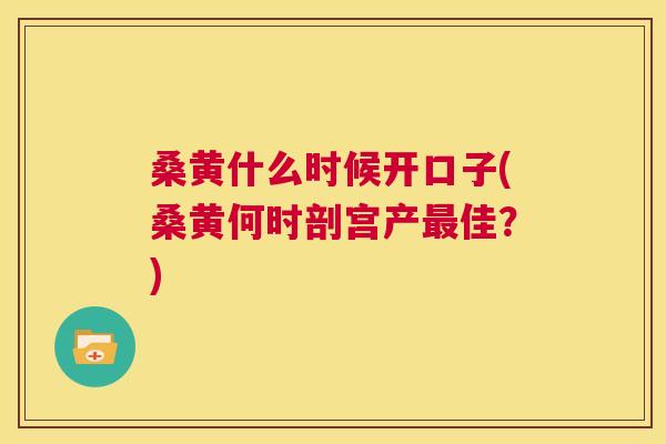 桑黄什么时候开口子(桑黄何时剖宫产佳?) 桑黄什么时候开口子(桑黄何时剖宫产佳?)