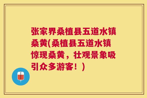 张家界桑植县五道水镇桑黄(桑植县五道水镇惊现桑黄,壮观景象吸引众多游客!) 张家界桑植县五道水镇桑黄(桑植县五道水镇惊现桑黄,壮观景象吸引众多游客!)