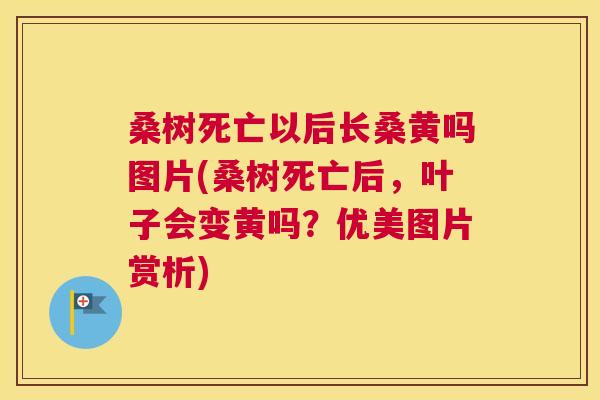 桑树死亡以后长桑黄吗图片(桑树死亡后,叶子会变黄吗?优美图片赏析) 桑树死亡以后长桑黄吗图片(桑树死亡后,叶子会变黄吗?优美图片赏析)