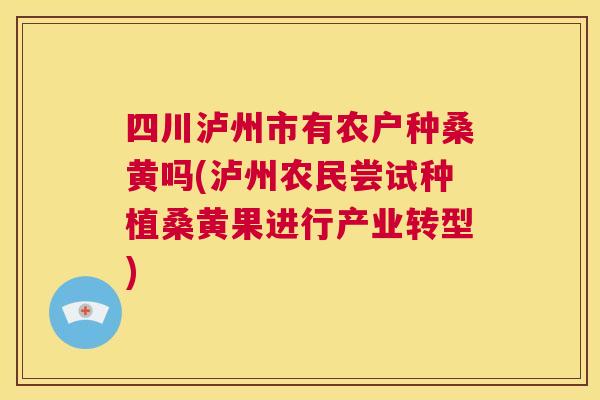 四川泸州市有农户种桑黄吗(泸州农民尝试种植桑黄果进行产业转型) 四川泸州市有农户种桑黄吗(泸州农民尝试种植桑黄果进行产业转型)