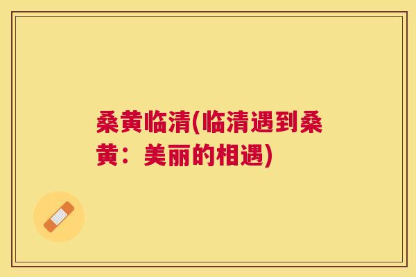 桑黄临清(临清遇到桑黄:美丽的相遇) 桑黄临清(临清遇到桑黄:美丽的相遇)
