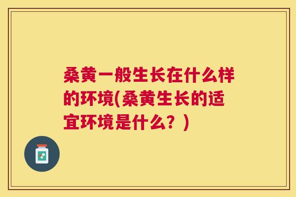 桑黄一般生长在什么样的环境(桑黄生长的适宜环境是什么?) 桑黄一般生长在什么样的环境(桑黄生长的适宜环境是什么?)