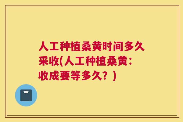 人工种植桑黄时间多久采收(人工种植桑黄：收成要等多久？)