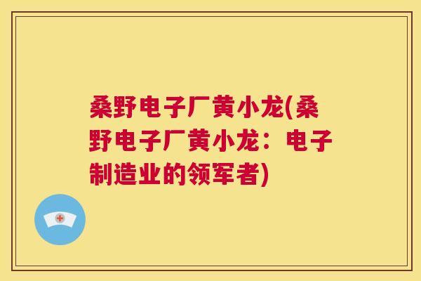 桑野电子厂黄小龙(桑野电子厂黄小龙:电子制造业的领军者) 桑野电子厂黄小龙(桑野电子厂黄小龙:电子制造业的领军者)