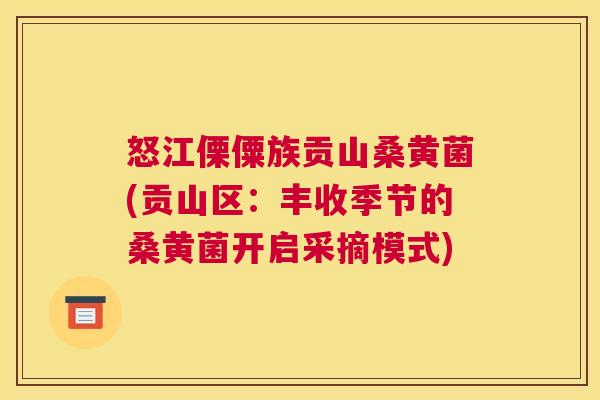 怒江傈僳族贡山桑黄菌(贡山区:丰收季节的桑黄菌开启采摘模式) 怒江傈僳族贡山桑黄菌(贡山区:丰收季节的桑黄菌开启采摘模式)