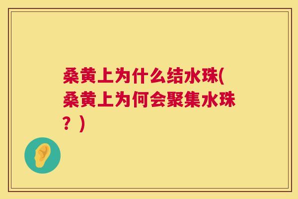 桑黄上为什么结水珠(桑黄上为何会聚集水珠?) 桑黄上为什么结水珠(桑黄上为何会聚集水珠?)