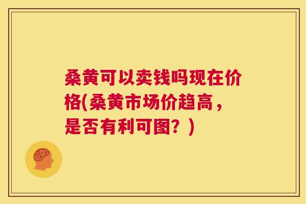 桑黄可以卖钱吗现在价格(桑黄市场价趋高,是否有利可图?) 桑黄可以卖钱吗现在价格(桑黄市场价趋高,是否有利可图?)