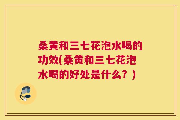 桑黄和三七花泡水喝的功效(桑黄和三七花泡水喝的好处是什么?) 桑黄和三七花泡水喝的功效(桑黄和三七花泡水喝的好处是什么?)