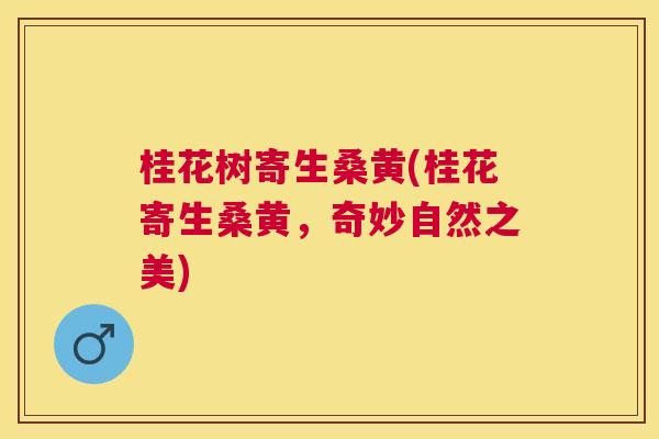 桂花树寄生桑黄(桂花寄生桑黄,奇妙自然之美) 桂花树寄生桑黄(桂花寄生桑黄,奇妙自然之美)