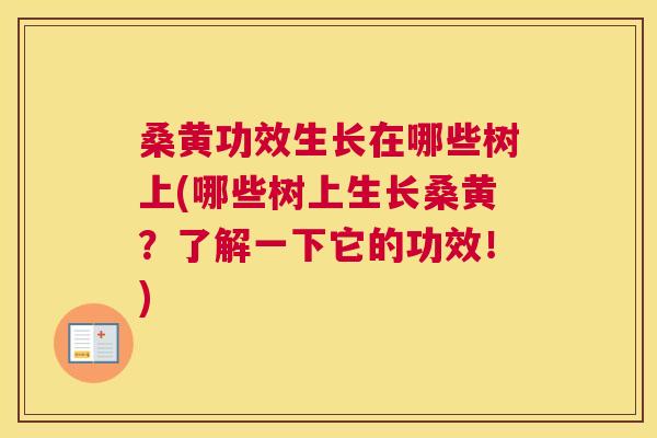 桑黄功效生长在哪些树上(哪些树上生长桑黄?了解一下它的功效!) 桑黄功效生长在哪些树上(哪些树上生长桑黄?了解一下它的功效!)