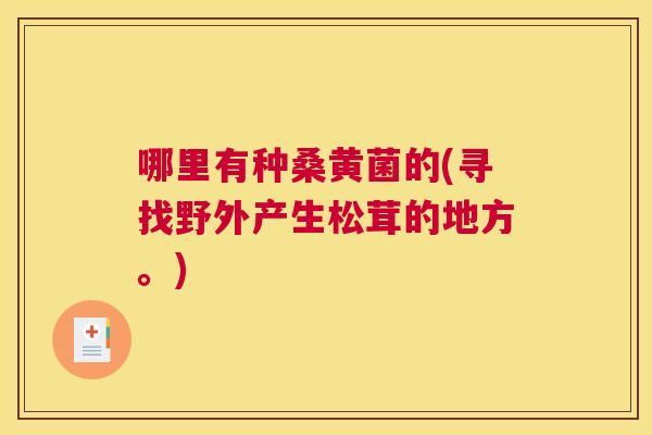 哪里有种桑黄菌的(寻找野外产生松茸的地方。) 哪里有种桑黄菌的(寻找野外产生松茸的地方。)