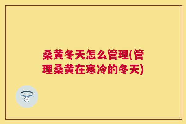 桑黄冬天怎么管理(管理桑黄在寒冷的冬天) 桑黄冬天怎么管理(管理桑黄在寒冷的冬天)