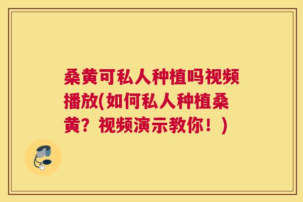 桑黄可私人种植吗视频播放(如何私人种植桑黄?视频演示教你!) 桑黄可私人种植吗视频播放(如何私人种植桑黄?视频演示教你!)