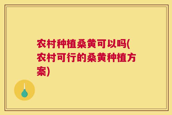 农村种植桑黄可以吗(农村可行的桑黄种植方案) 农村种植桑黄可以吗(农村可行的桑黄种植方案)