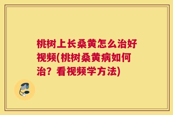 桃树上长桑黄怎么好视频(桃树桑黄如何?看视频学方法) 桃树上长桑黄怎么好视频(桃树桑黄如何?看视频学方法)