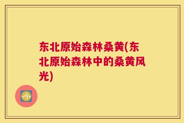 东北原始森林桑黄(东北原始森林中的桑黄风光) 东北原始森林桑黄(东北原始森林中的桑黄风光)