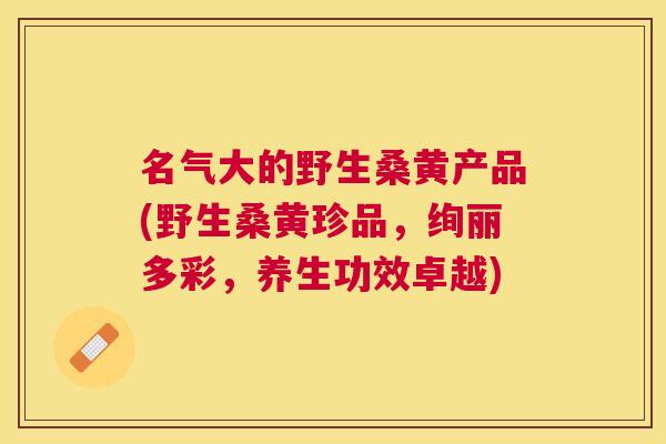 名气大的野生桑黄产品(野生桑黄珍品,绚丽多彩,养生功效卓越) 名气大的野生桑黄产品(野生桑黄珍品,绚丽多彩,养生功效卓越)