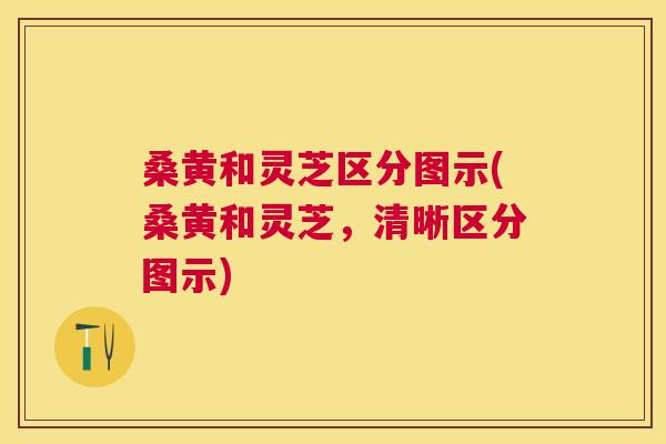 桑黄和灵芝区分图示(桑黄和灵芝,清晰区分图示) 桑黄和灵芝区分图示(桑黄和灵芝,清晰区分图示)