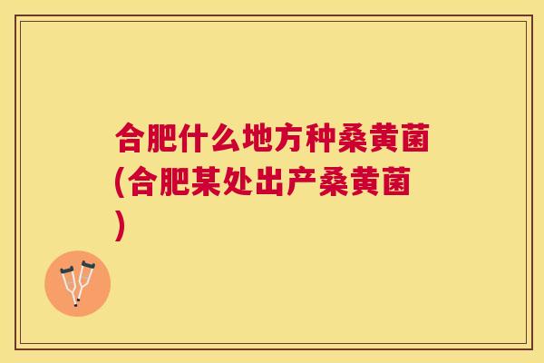 合肥什么地方种桑黄菌(合肥某处出产桑黄菌) 合肥什么地方种桑黄菌(合肥某处出产桑黄菌)