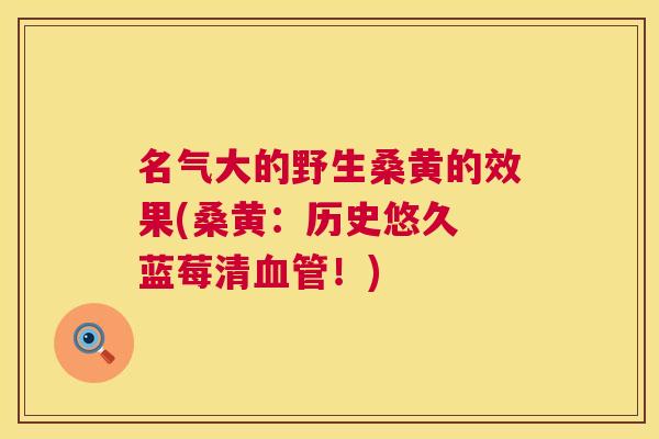 名气大的野生桑黄的效果(桑黄:历史悠久 蓝莓清!) 名气大的野生桑黄的效果(桑黄:历史悠久 蓝莓清!)