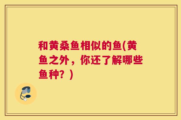 和黄桑鱼相似的鱼(黄鱼之外,你还了解哪些鱼种?) 和黄桑鱼相似的鱼(黄鱼之外,你还了解哪些鱼种?)