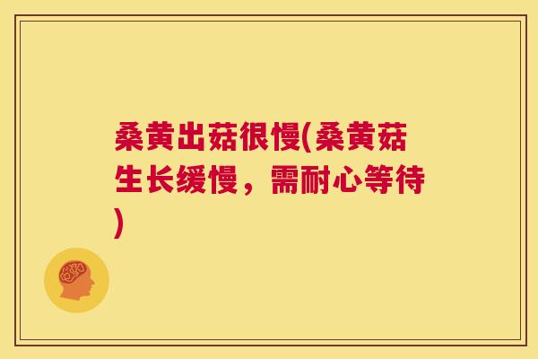 桑黄出菇很慢(桑黄菇生长缓慢,需耐心等待) 桑黄出菇很慢(桑黄菇生长缓慢,需耐心等待)