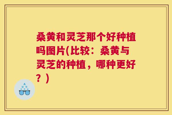 桑黄和灵芝那个好种植吗图片(比较:桑黄与灵芝的种植,哪种更好?) 桑黄和灵芝那个好种植吗图片(比较:桑黄与灵芝的种植,哪种更好?)