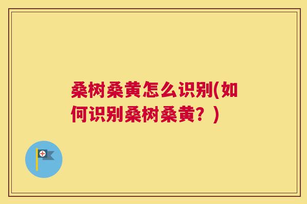桑树桑黄怎么识别(如何识别桑树桑黄?) 桑树桑黄怎么识别(如何识别桑树桑黄?)
