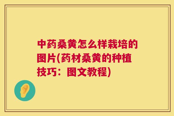 桑黄怎么样栽培的图片(药材桑黄的种植技巧:图文教程) 桑黄怎么样栽培的图片(药材桑黄的种植技巧:图文教程)