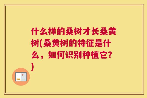 什么样的桑树才长桑黄树(桑黄树的特征是什么,如何识别种植它?) 什么样的桑树才长桑黄树(桑黄树的特征是什么,如何识别种植它?)