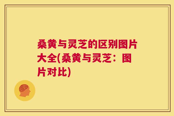 桑黄与灵芝的区别图片大全(桑黄与灵芝:图片对比) 桑黄与灵芝的区别图片大全(桑黄与灵芝:图片对比)
