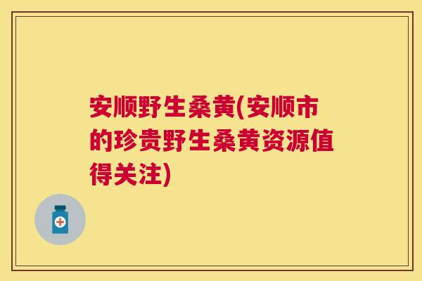 安顺野生桑黄(安顺市的珍贵野生桑黄资源值得关注) 安顺野生桑黄(安顺市的珍贵野生桑黄资源值得关注)