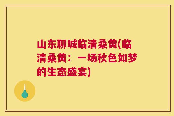 山东聊城临清桑黄(临清桑黄:一场秋色如梦的生态盛宴) 山东聊城临清桑黄(临清桑黄:一场秋色如梦的生态盛宴)