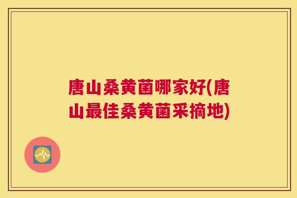 唐山桑黄菌哪家好(唐山佳桑黄菌采摘地) 唐山桑黄菌哪家好(唐山佳桑黄菌采摘地)