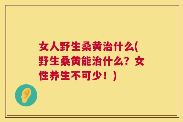 女人野生桑黄什么(野生桑黄能什么?女性养生不可少!) 女人野生桑黄什么(野生桑黄能什么?女性养生不可少!)