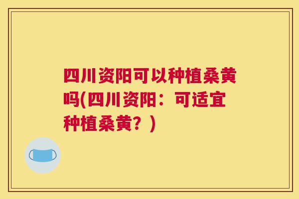四川资阳可以种植桑黄吗(四川资阳:可适宜种植桑黄?) 四川资阳可以种植桑黄吗(四川资阳:可适宜种植桑黄?)