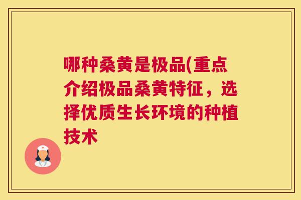 哪种桑黄是极品(重点介绍极品桑黄特征,选择优质生长环境的种植技术 哪种桑黄是极品(重点介绍极品桑黄特征,选择优质生长环境的种植技术