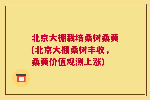 北京大棚栽培桑树桑黄(北京大棚桑树丰收,桑黄价值观测上涨) 北京大棚栽培桑树桑黄(北京大棚桑树丰收,桑黄价值观测上涨)