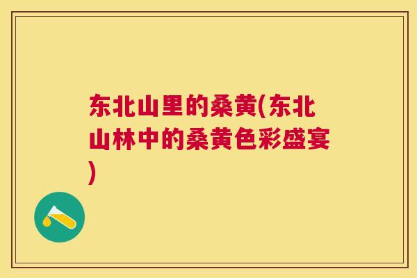 东北山里的桑黄(东北山林中的桑黄色彩盛宴)